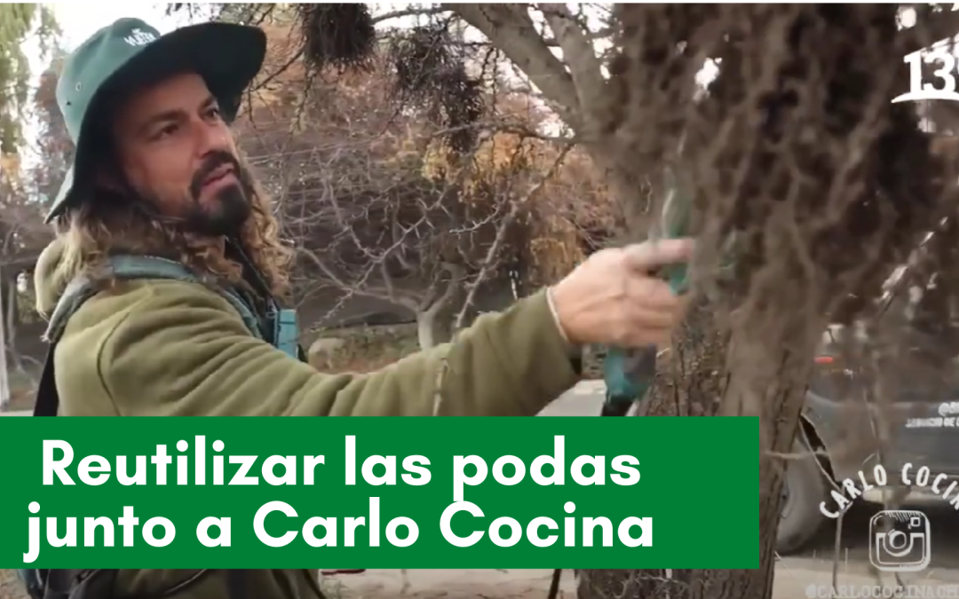 Biol Chipper protagonista en programa de TV Carlo Cocina